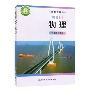 25年北京师范大学出版社物理八年级下册初中教材课本八下物理用书