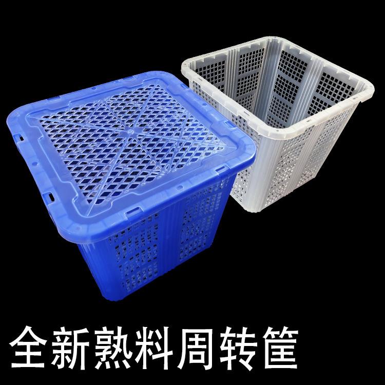 水果塑料运输筐荔枝果筐活禽运输筐方形镂空带盖加厚大号家用收纳