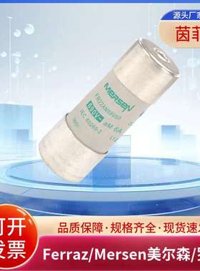 FR22AM50V63P FR22AM50V80P FR22AM50V100P FR22AM50V125P熔断器