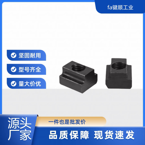 BJ749-06010 08010 2 10012 4 12014 8 16018 20022 24028螺母T型