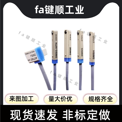 DMSG DMSH CMSJ CMSH DMSE CMSG-020-030-050 磁性开关