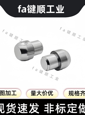 YBC01 02 06 11 21 22 26 31 41 42 46 51-D-P-L 大头圆锥定位销