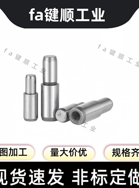 多棱销 YBU0111 02 12 03 16 20 18 10 43大头锥角内螺纹销-D-P-