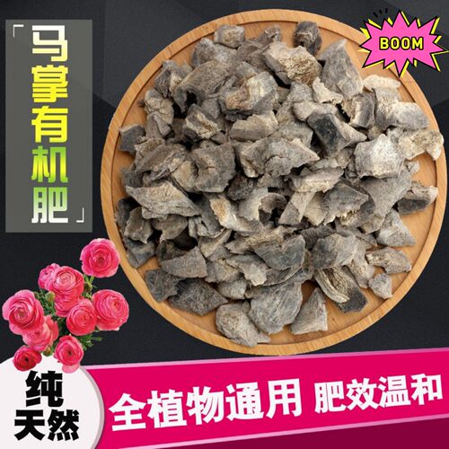 马掌花卉植物花盆底介质