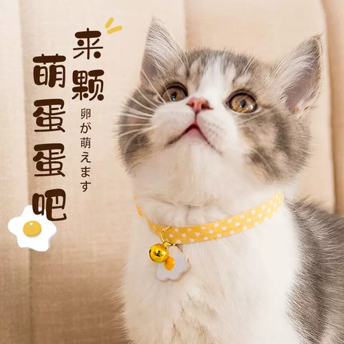 宠物猫咪狗狗项圈小雏菊