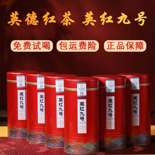 茶知府红茶英红九号英德红茶