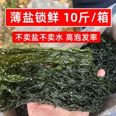 盐渍裙带菜10斤半干整箱非纯干货海带嫩苗凉拌麻辣烫火锅食材商用