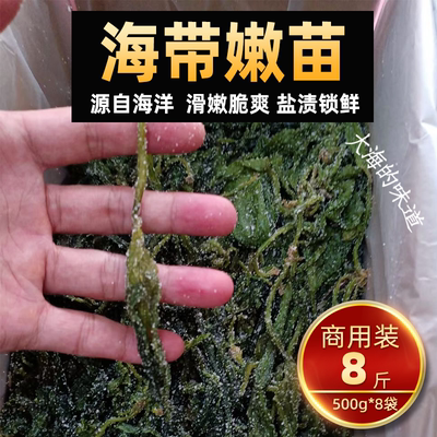 识蜀记海带苗火锅店商用海带嫩芽