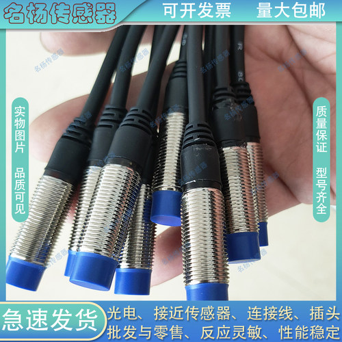IBT18-LS08NA/LN12NA/LS08NB/LN12NB/LS08PA/LN12PA-D4YV1传感器