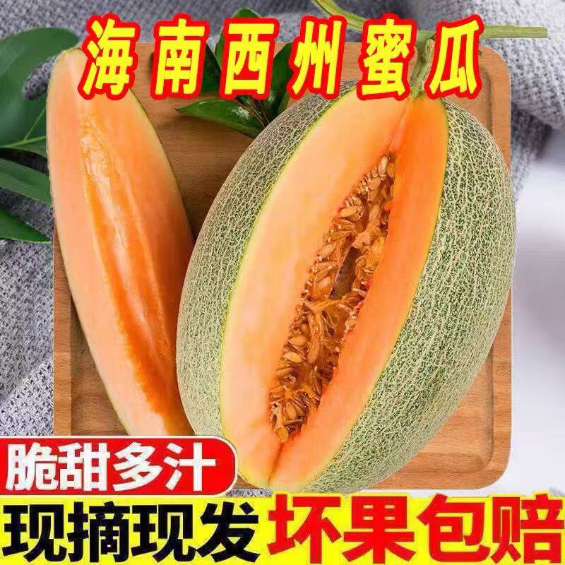 正宗海南哈密瓜玲珑网纹蜜瓜当季现摘脆甜多汁皮薄新鲜香甜整箱装