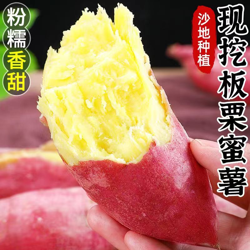 陕西板栗薯红薯新鲜3/5/10斤整箱白薯临潼沙地白心农家番薯小地瓜