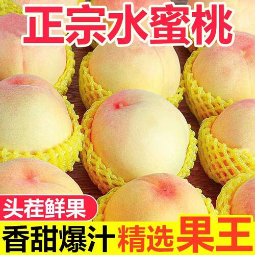 山西运城现摘水蜜桃脆甜露天孕妇时令鲜果整箱包邮新鲜离核本地