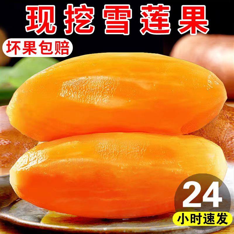 云南雪莲果黄心特级当季现挖脆甜新鲜低糖一级水果包邮,水产肉类/新鲜蔬果/熟食,雪莲果,淘宝优惠券,粉丝福利购,淘宝优惠卷