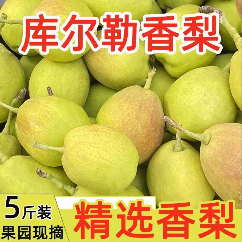 新疆库尔勒香梨5斤正宗新鲜水果整箱应当季直发整箱现货