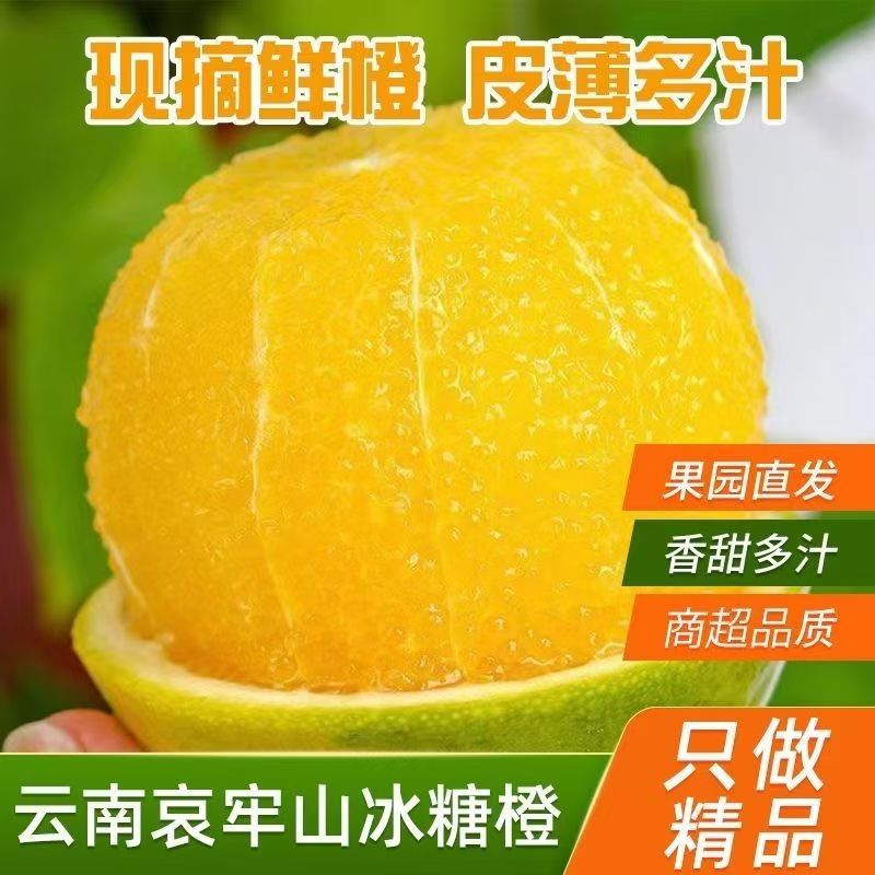 云南哀牢山冰糖橙正宗新鲜当季水果蜜桔玉溪手剥果冻橙子整箱