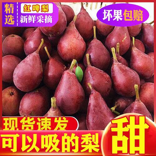 山西红啤梨应当季水果红皮梨包邮产地直发新鲜水果梨子5斤包邮