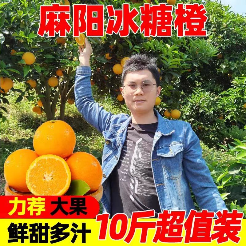 正宗湖南麻阳冰糖橙新鲜橙子水果当季10整箱果冻甜橙子手剥现摘