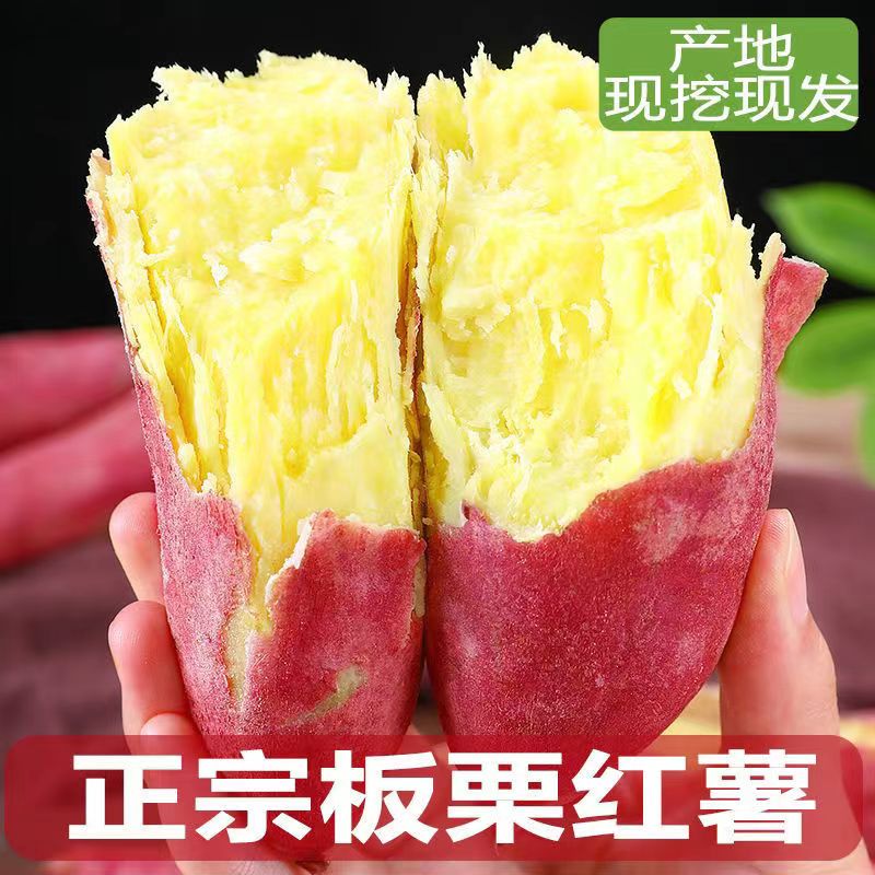 山东板栗薯应当季农家红薯包邮新鲜地瓜板栗红薯特价包邮