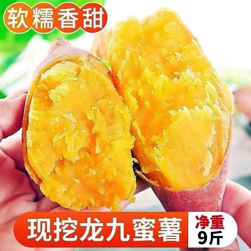 正宗龙九蜜薯沙地红薯新鲜粉糯香甜农家沙地红薯番薯批发红薯地瓜