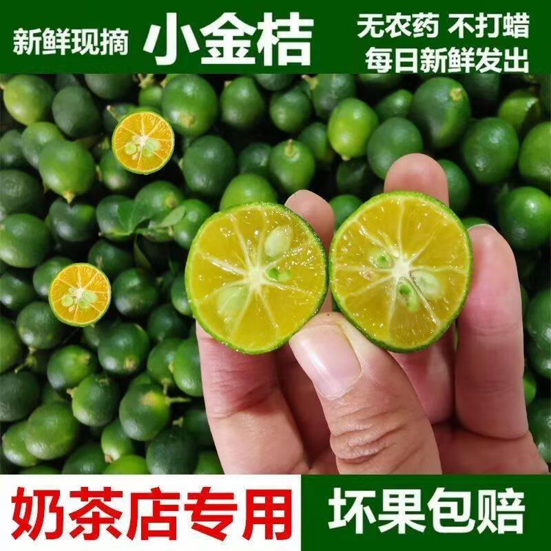 小金桔新鲜鲜果柠檬小青柠小青桔金橘3斤奶茶店专用水果商用