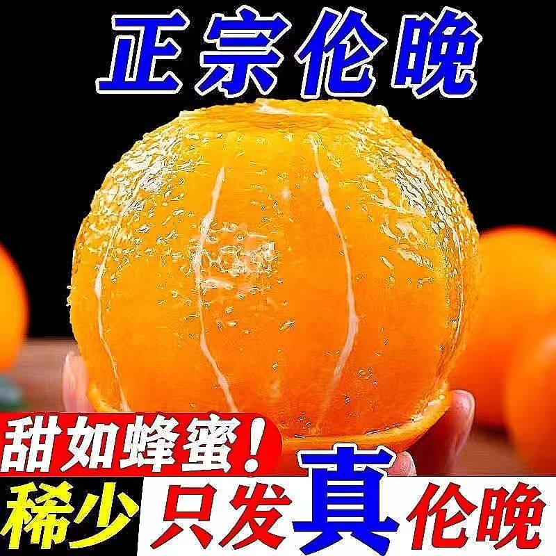 伦晚脐橙春季秭归当季现摘湖北橙子新鲜水果纯甜多汁整箱手剥甜橙