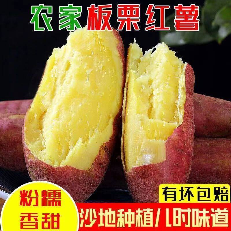 山东板栗薯应当季农家红薯包邮新鲜地瓜板栗红薯特价包邮5斤