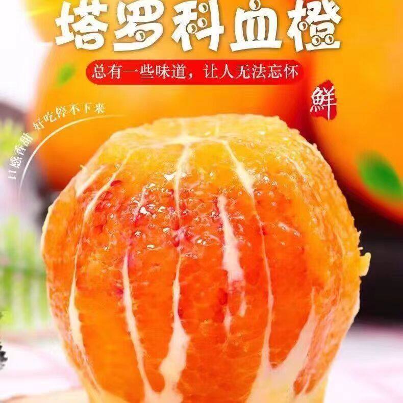 四川资中塔罗科血橙红色果冻橙红心甜橙当季水果手剥中华玫瑰橙子