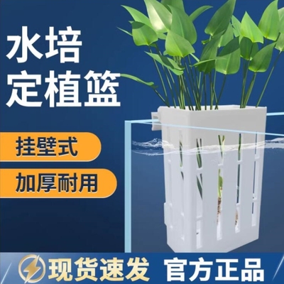 鱼缸水培挂篮古法养鱼固定架鱼缸水培植物壁挂式定植篮造景装饰