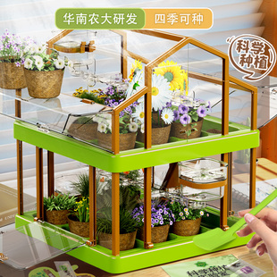 阳光房种植儿童小学生科学实验套装 植物观察种植园女孩种菜玩具