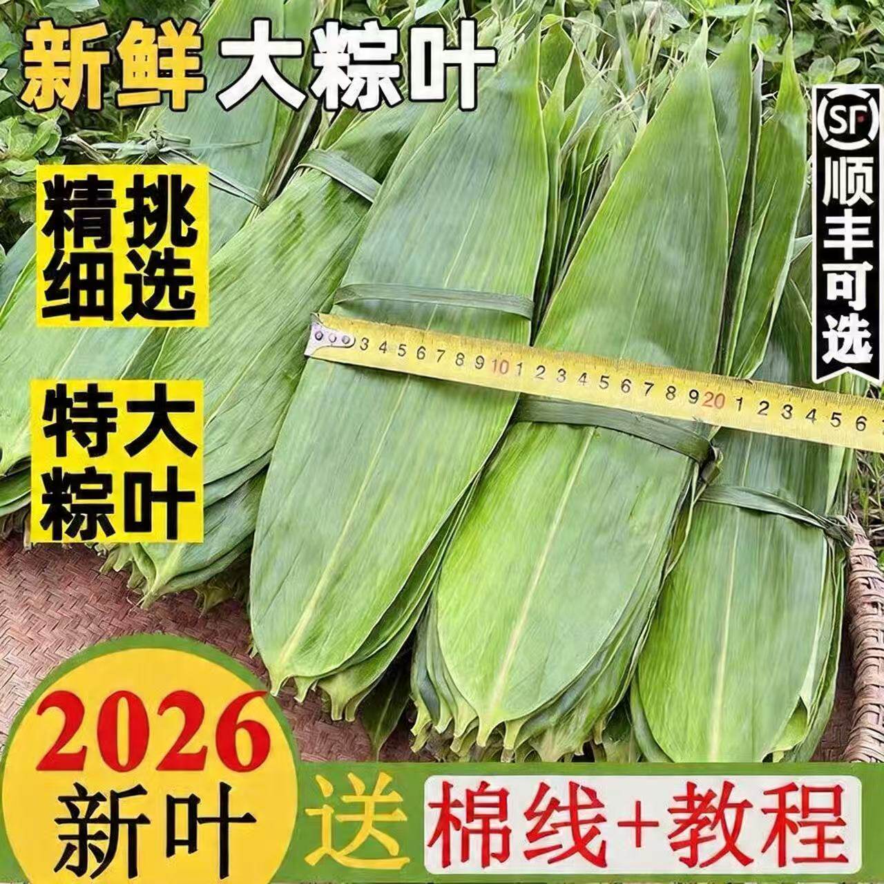 顺丰新鲜粽叶100片买一送二！