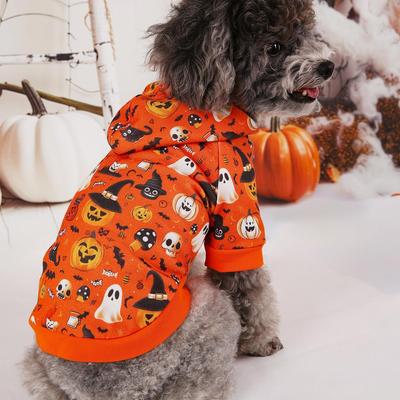 Dog Sweat Halloween Decoration Pumpkin Wizard Print Small Do