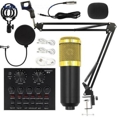 other E3Bm800 condenser microphone + V8 sound card computer