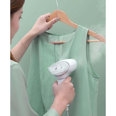 Handheld Steamer Portable Steam Electric iron 220V 1000W