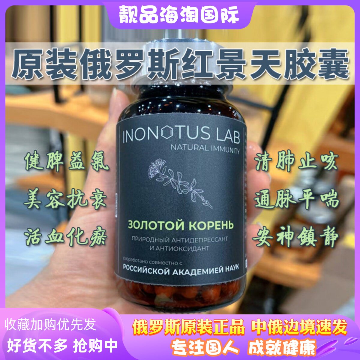 原装俄罗斯正品红景天胶囊天然绿色植物提取营养健康滋补120粒/瓶