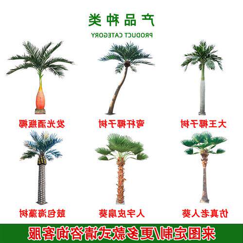 仿真椰子树工厂户外景区景观装饰玻璃钢人造大王椰子大树高仿真