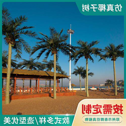 大型仿真椰子树造景室内外椰子树大王椰海边酒店人造大树棕榈树