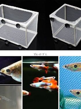 Aquarium Fish Tank Double Breed Incubator Breeder Rearing