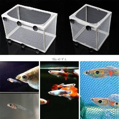 Aquarium Fish Tank Double Breed Incubator Breeder Rearing