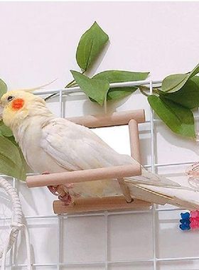 Bird Toy Mirror With Perch  Bird Perch Mirror Toys Stand