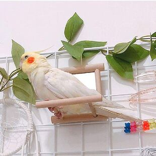 Bird Toy Mirror With Perch  Bird Perch Mirror Toys Stand