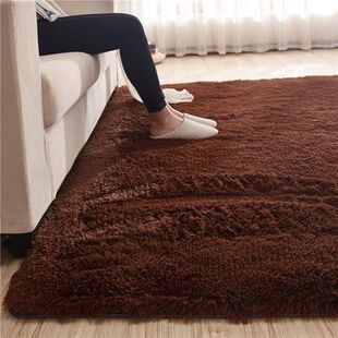 Thick Carpet Soft Non-slip Living Room Bedroom 60*160cm