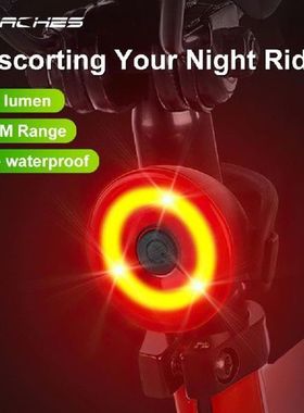 Mini LED Bicycle Tail Light USB Chargeable Bike Rear Light