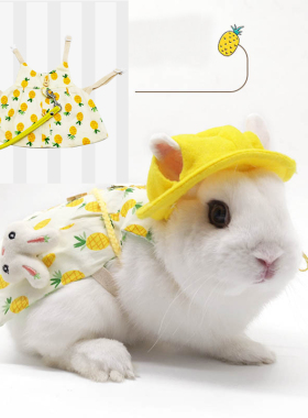 Cute Bunny Pet Vest Accessories Outdoor Leash Rabbit