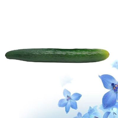 1pc Cucumber Prop Artificial  Cucumber  Artificial Cucumber