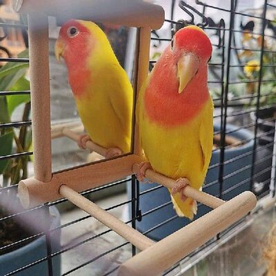 Bird Mirror With Perch Bird Perch Mirror Toy Stand Bird Toy