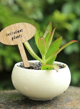 50pcs Plant Labels Wooden Crafts Flower Insert Sign Plant