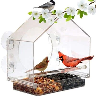 Acrylic Transparent Bird Squirrel Feeder Tray House Window