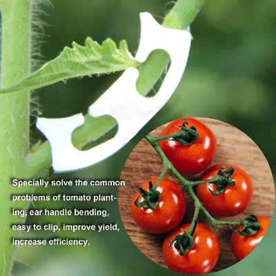 Vegetables Tomato Fixing Clips Prevent Bending Support