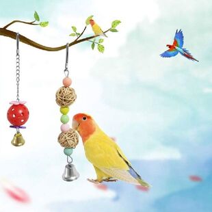 Parrot Toy Kit Bird Toy Accessories Bird Cage Toy For