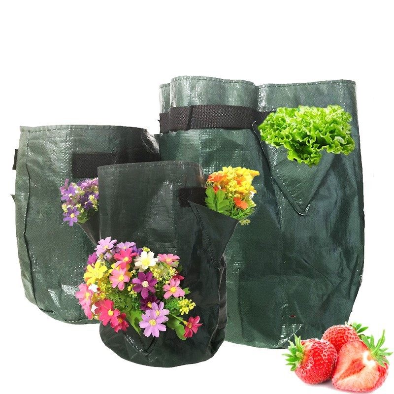 5 gallon 10 gallon gardening pe strawberry pots potager vege